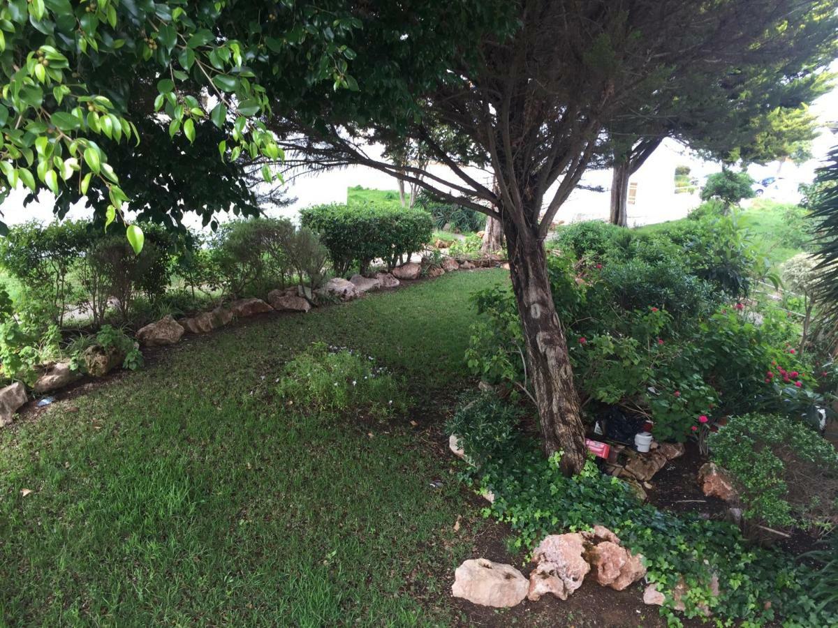 Tiagos Apartament Faro Luaran gambar